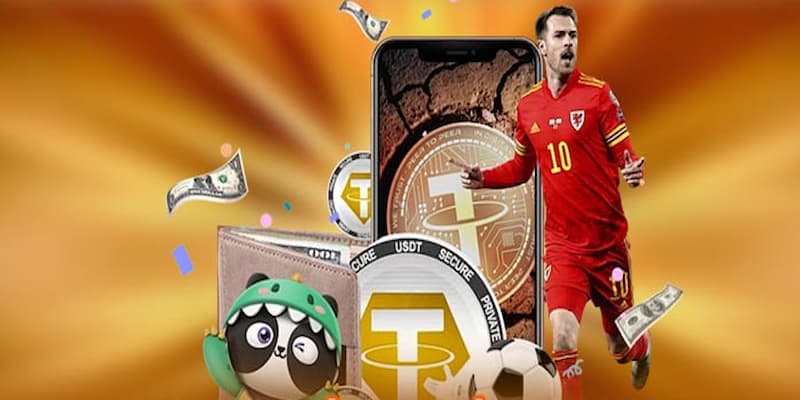 Vai trò của socolive blv deco trong hệ sinh thái socolive